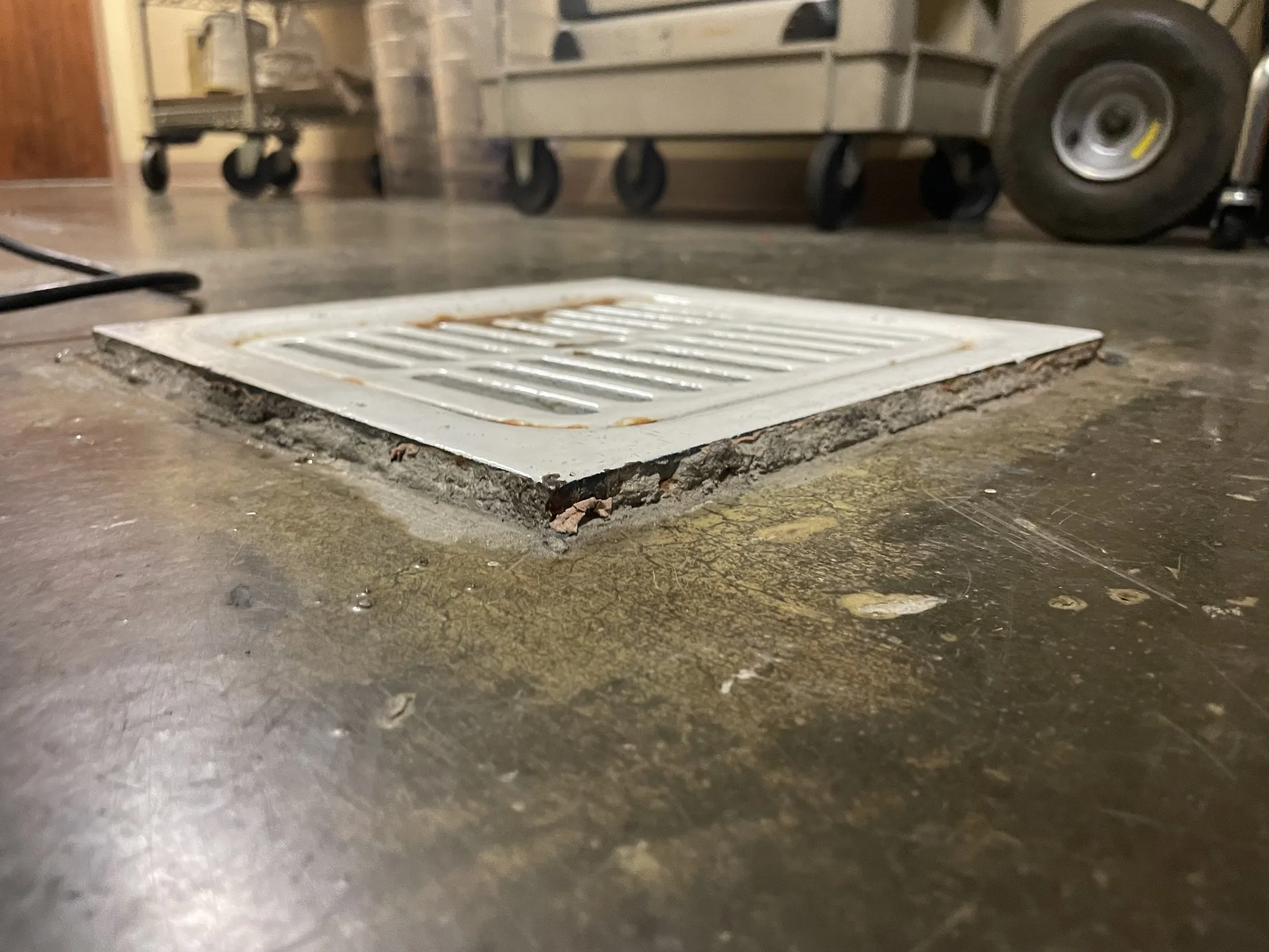 Commercial floor drain close-up showing drain cover and surrounding tile