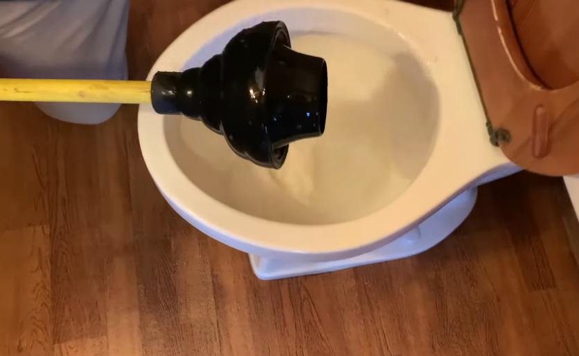Toilet plunger