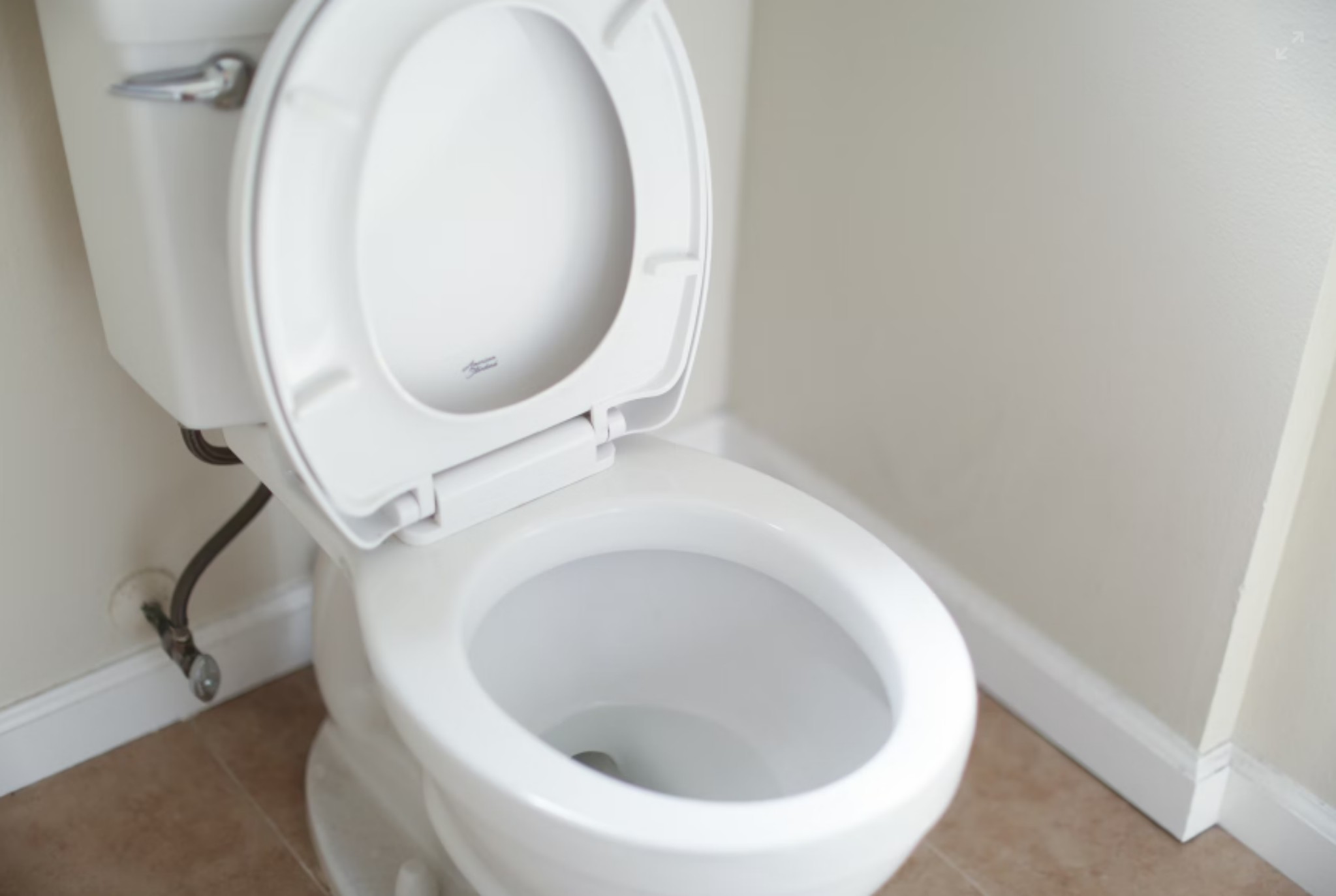 Can you flush oil down the toile