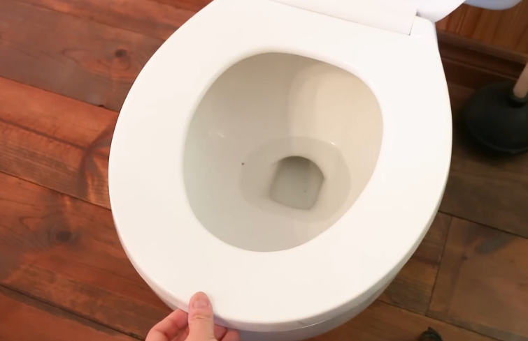 checking toilet seat