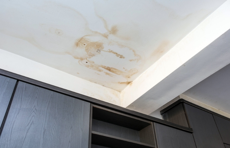 Best Solution for Ceiling Leakage