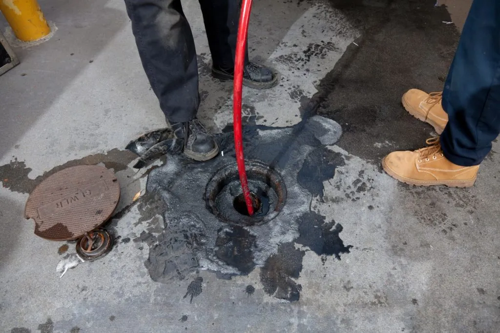 A Snake Gets the Drain Moving. Hydro-Jetting Clears the Line.